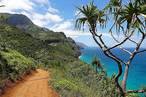 OnTour Molokai